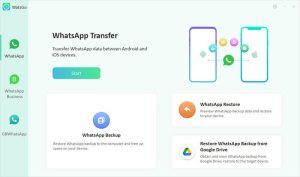 1747129460 watsgo main interface.jpg