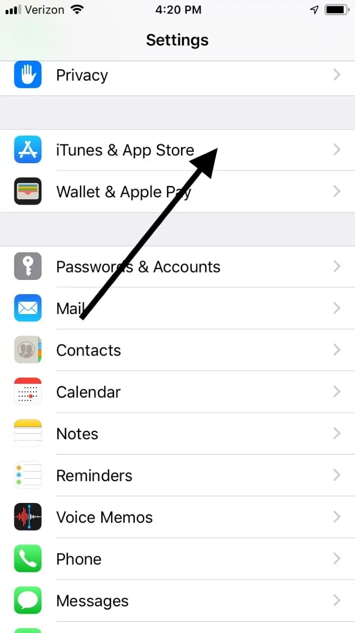 iPhone iTunesとApp Store