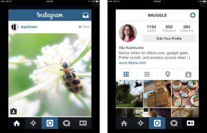 Instagram photos.jpg