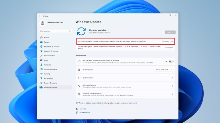 Windows 11 kb5063060 issues.jpg