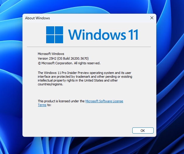 WinverのWindows 11バージョン25H2